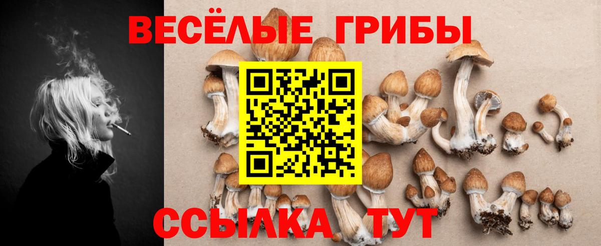 Галлюциногенные грибы ЛСД Пыть-Ях
