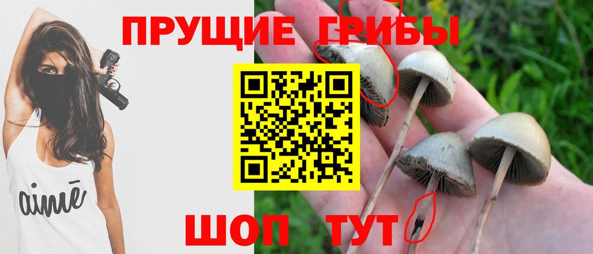 Галлюциногенные грибы MAGIC MUSHROOMS  Вход с VPN  Пыть-Ях 